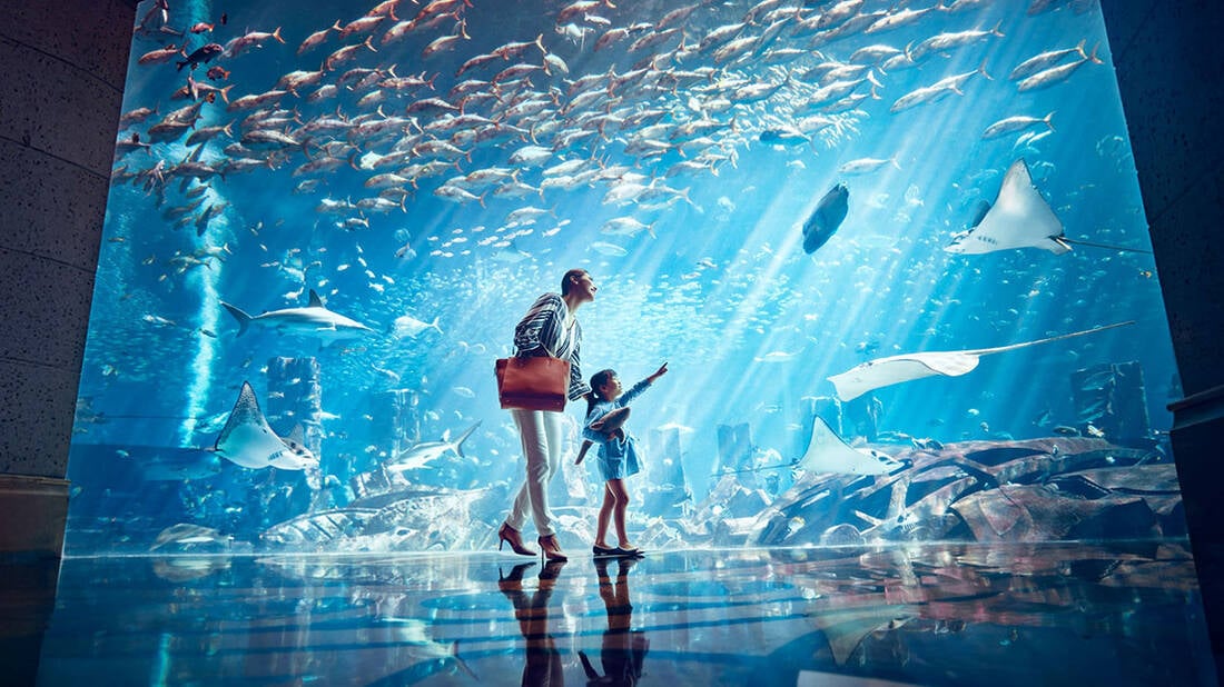 Mother and daughter walking across an aquarium in Lost Chambers in Aquaventure