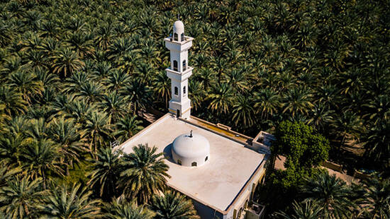 A mosque surrounded by the date palm trees of the Al Ain Oasis