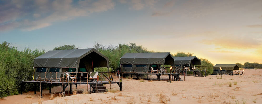 Overnight Safari