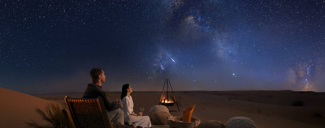 Couple enjoying safari