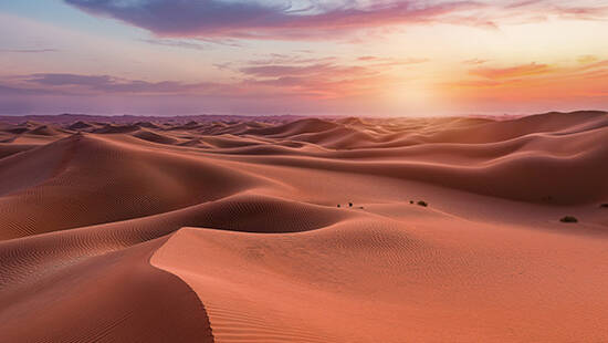 Image of desert at sunset