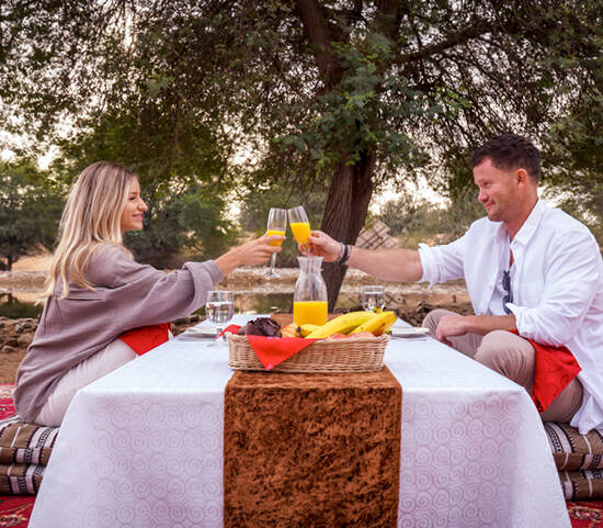 Vip Desert Safari