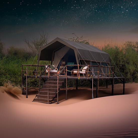 Overnight desert safari