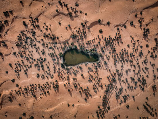 Desert water oasis