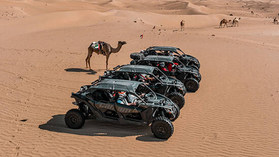 Four dune buggies lined up in the desert with a camel stood nearby