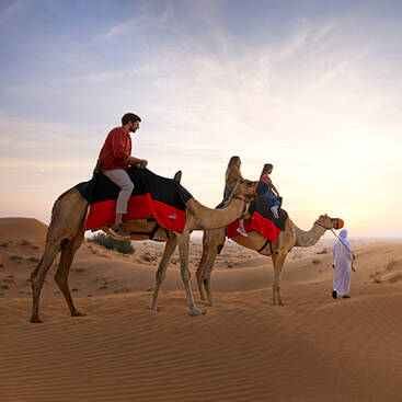 Desert Safari camel ride