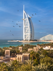Attractions and Sports