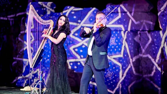 A man playing the violin and lady playing the harp at an event wearing formal attire