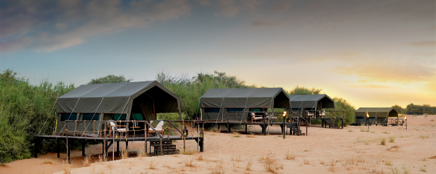 Award winning desert safaris