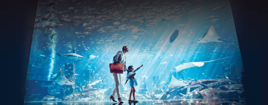 A mother and daughter looking at an aquarium in The Lost Chambers at Atlantis Dubai