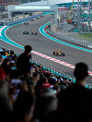 Fans watching a F1 race