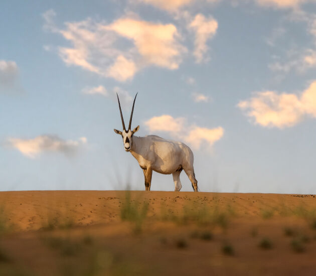 Nature First