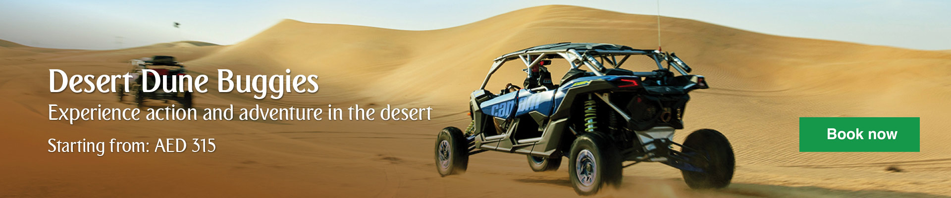 arabian adventures dune buggy