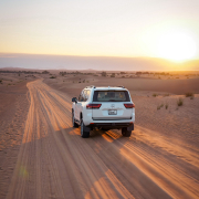 Evening Dune Drive in Dubai - Private Vehicle