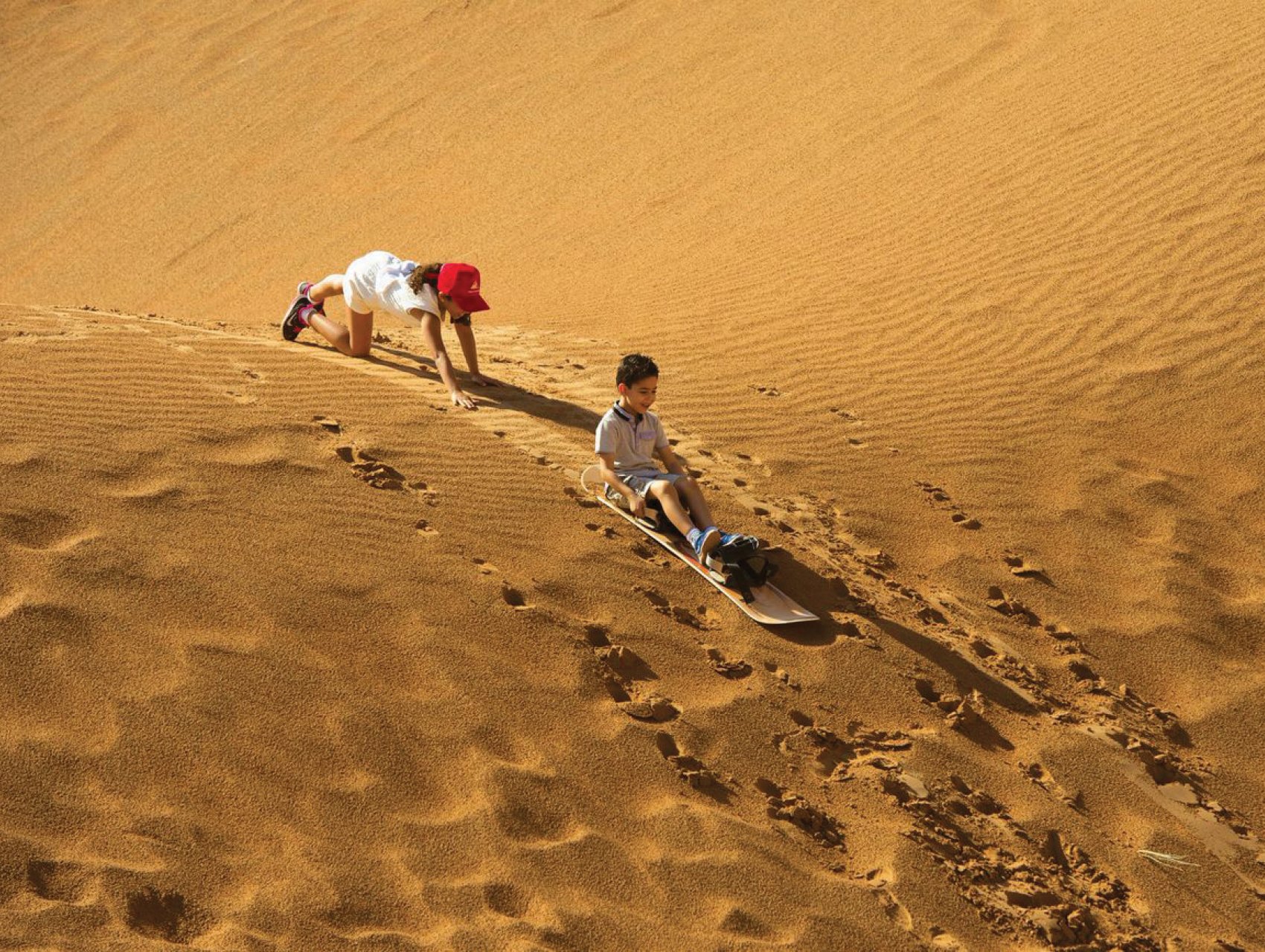 Best desert safari in Dubai