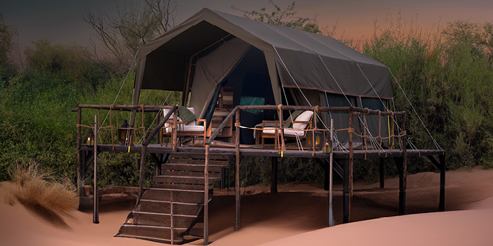 Luxury Overnight Desert Camping