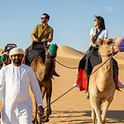 Morning Desert Safari