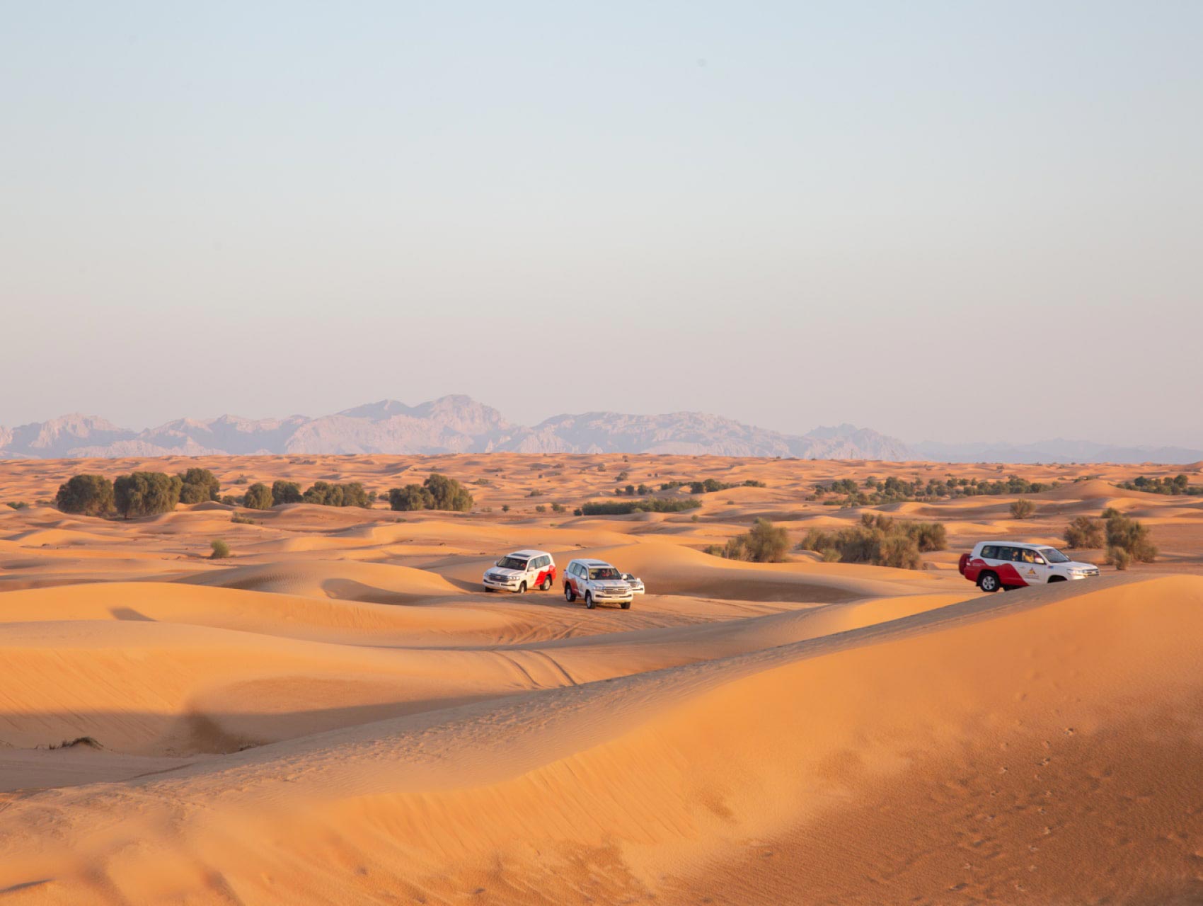 Experience an exciting dune drive in the Dubai desert red dunes 