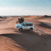 Desert Safaris