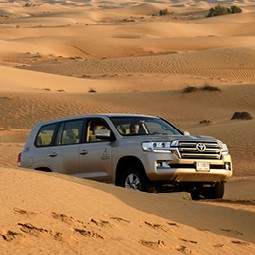 VIP Safari</br> <p style="color:#0039a6;"> Private Vehicle</p>