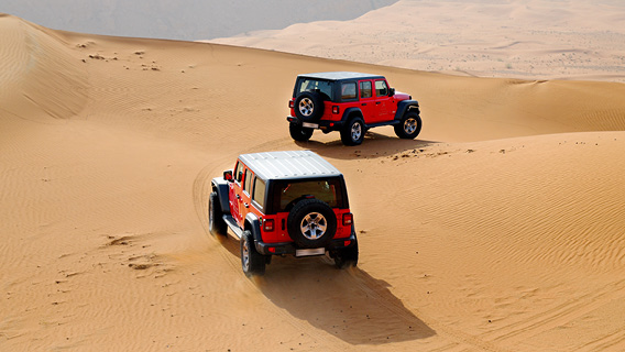 Private City Tours