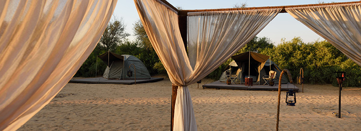 Overnight safari in Dubai Overnight safari in Dubai