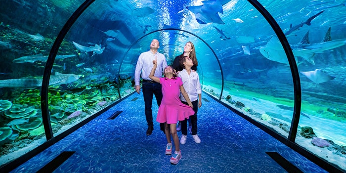 The National Aquarium Abu Dhabi