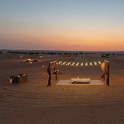 Exclusive Desert Safari Experience