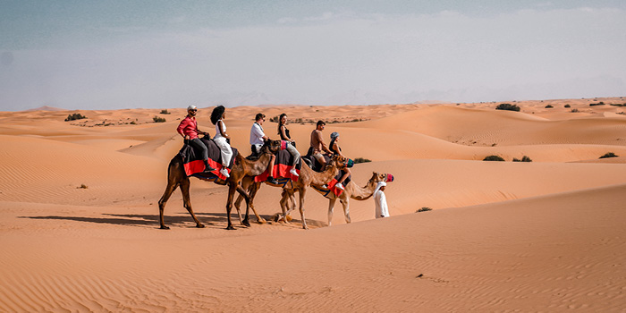 Camel Ride Experience