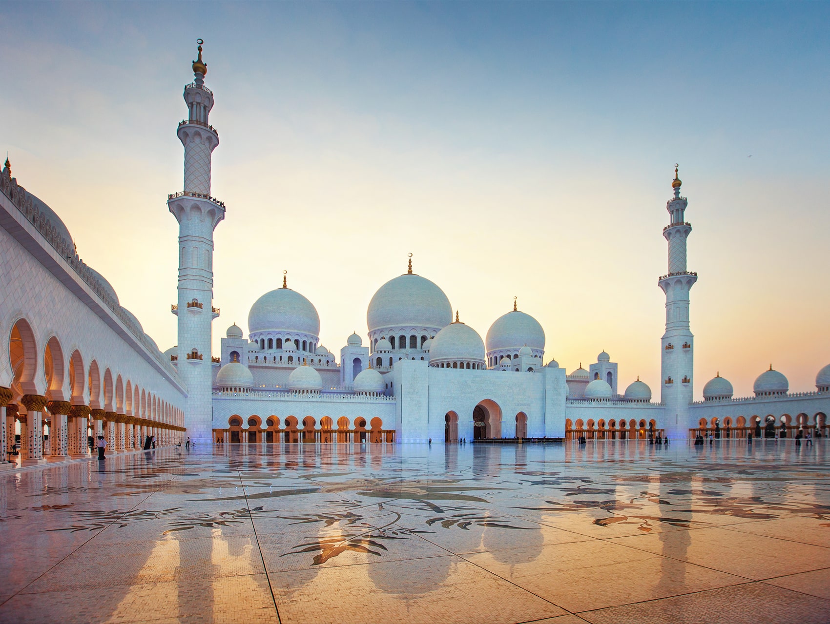 Gazelles are one of the many species that call the DDCR home Sheikh Zayed Grand Mosque, Abu Dhabi