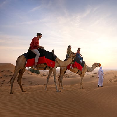 Camel Ride