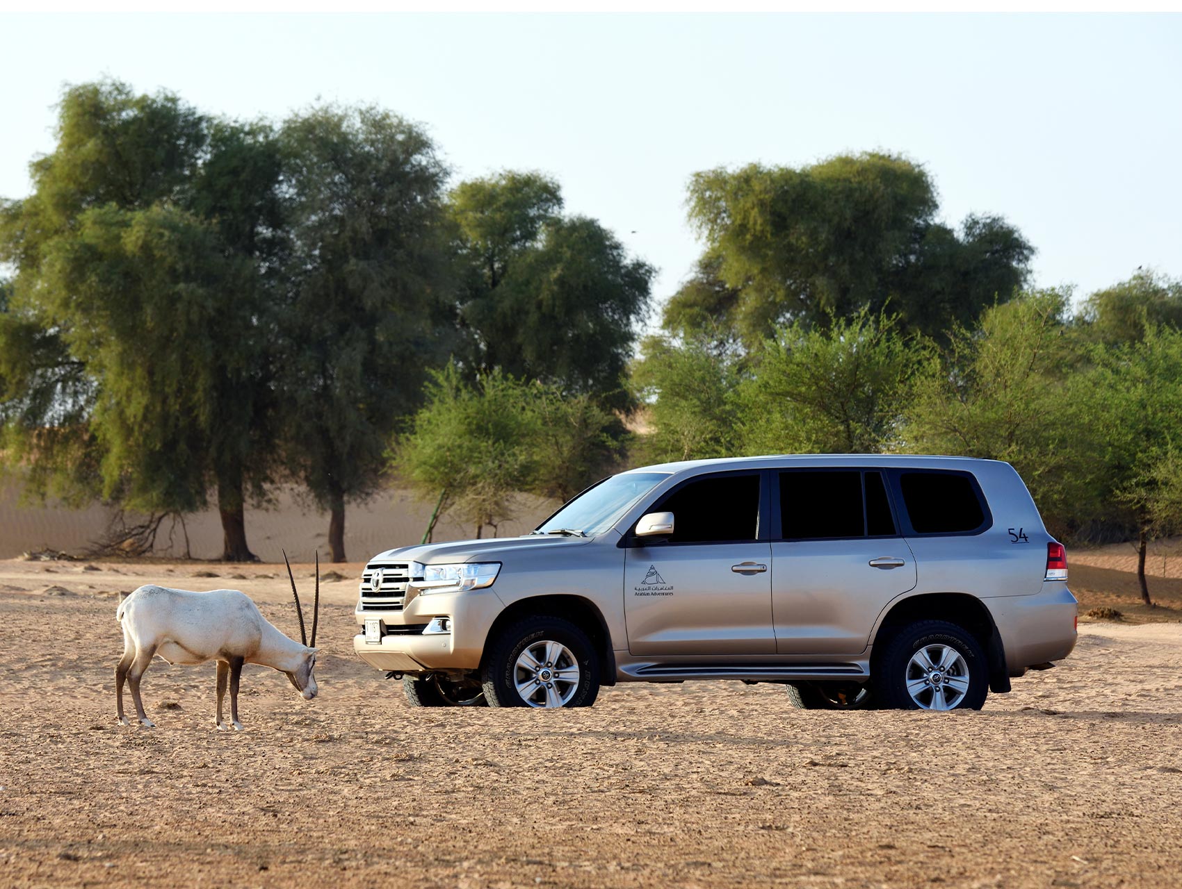 Exciting new ways to explore Dubai Best desert safari in Dubai