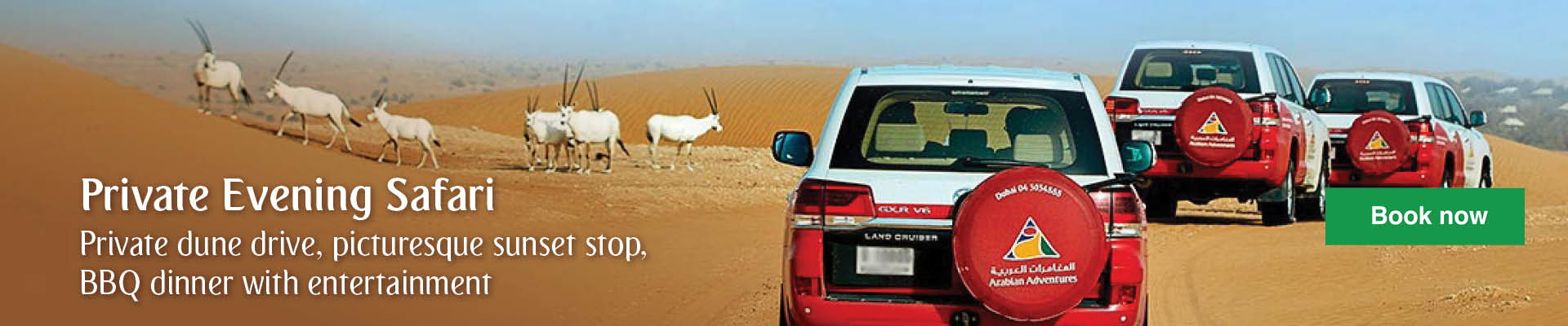 Evening desert safaris Evening Safari in Dubai Private Vehicle