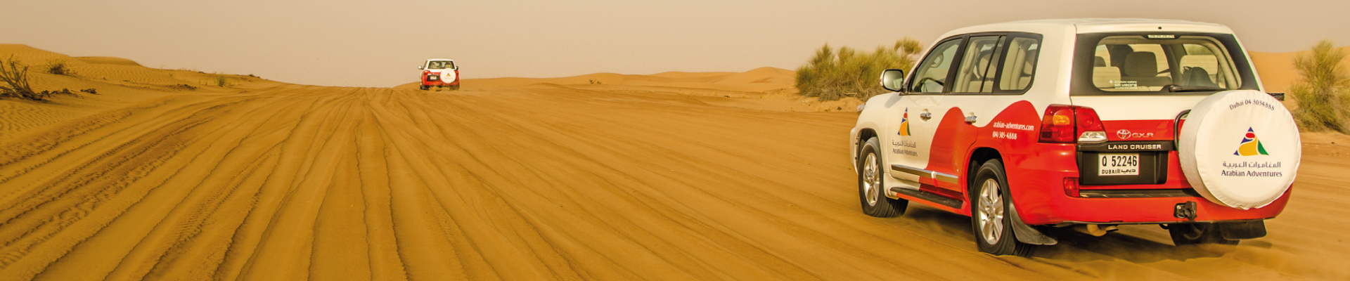 Desert Safaris in Dubai