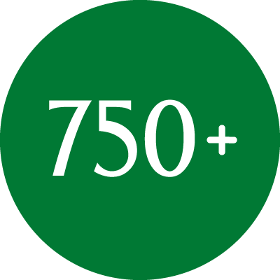 750+ icon