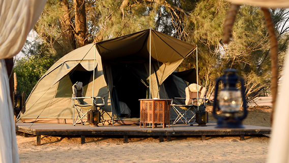 Luxury Overnight Desert Camping