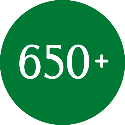 750+ icon