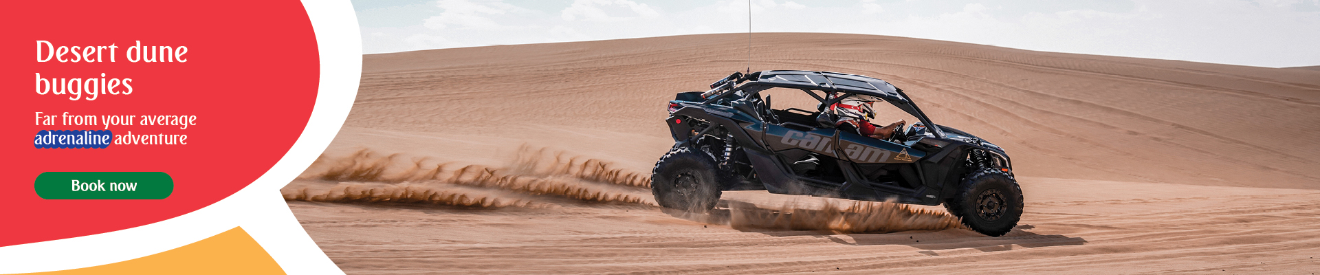 Desert Dune Buggies. Desert Dune Buggies