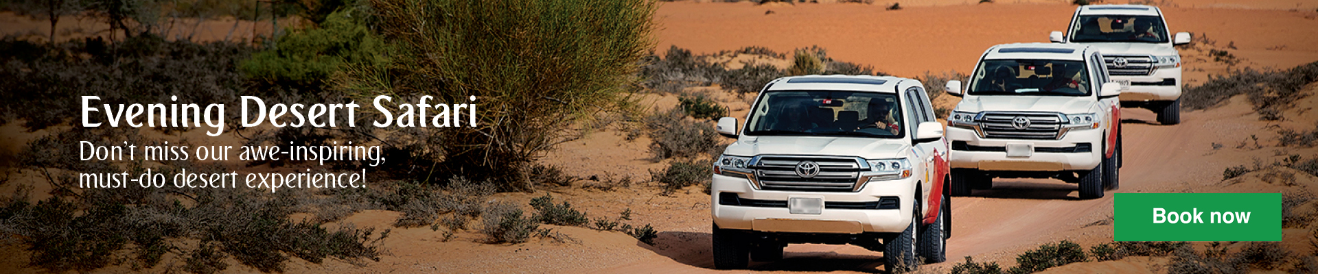 Spot Arabian wildlife in Dubai Desert Conservation Reserve Spot Arabian wildlife in Dubai Desert Conservation Reserve