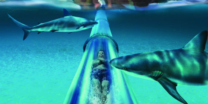 Aquaventure waterpark
