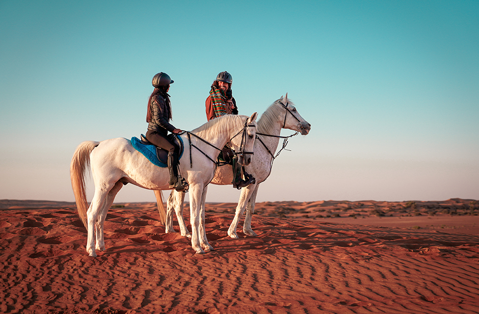 Morning Dune Drive