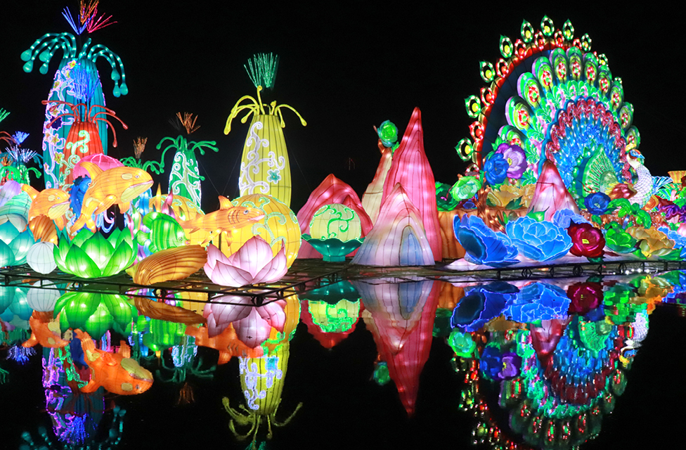 Dubai Garden Glow tickets