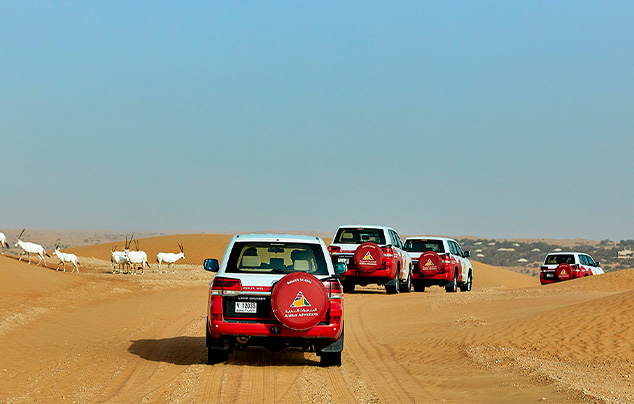 Desert Dune Buggies & Evening Safari Combo - Private Vehicle, , large