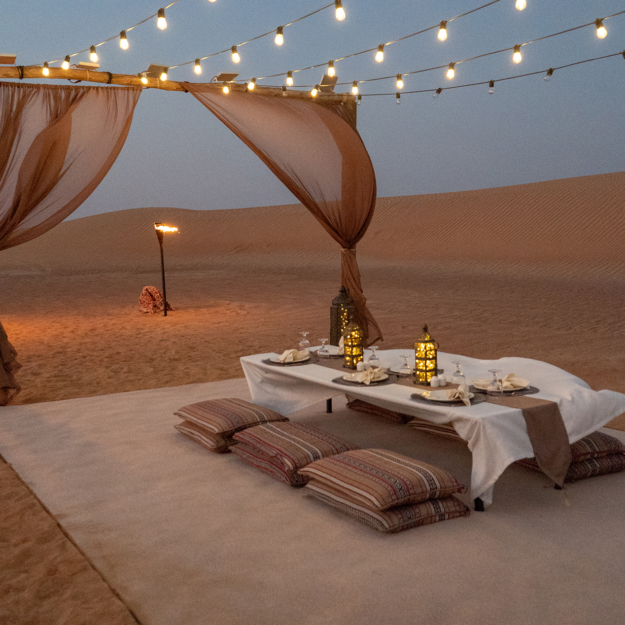 Exclusive Desert Experience, , large