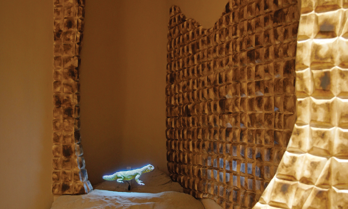 Dubai Desert Conservation Reserve Wildlife Tour, , large