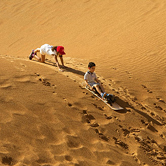 Morning Desert Adventure in Dubai - Private Vehicle, , small