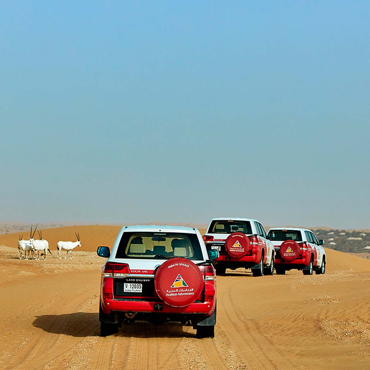 Evening Desert Safari in Dubai Exclusive Vehicle, , large