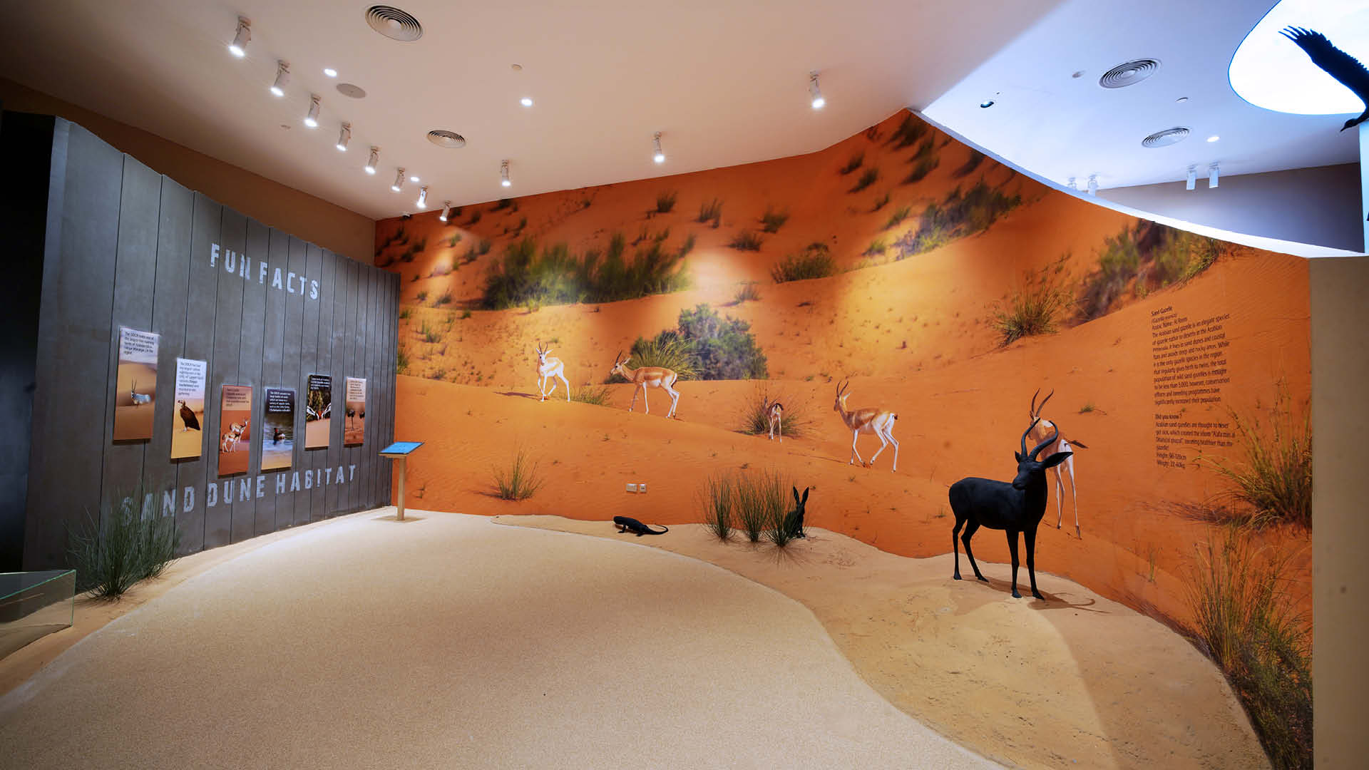 Interior view of the Fun Facts section at Dubai Desert Conservation Reserve