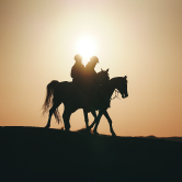 Horseback Ride - Shared Vehicle, , small