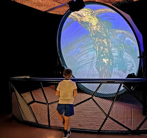 Overnight Wildlife Adventure, , medium